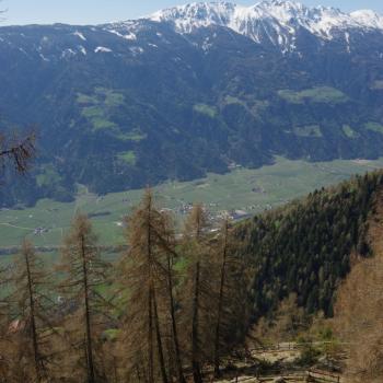 Wandern in Südtirol auf dem „Meraner Höhenweg“ - (c) Nicoletta De Rossi