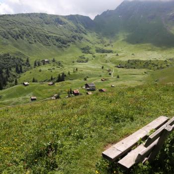 Panorama-Plätzchen am Mountain-View Trail