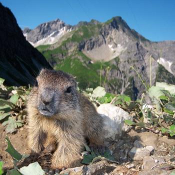 Wandern im Kleinwalsertal - Wanderung Wanderlust Vorarlberg Allgäu