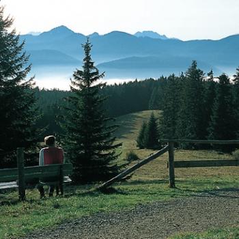 Neureut – Gindelalm –Baumgartenschneid Neureuthaus