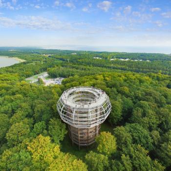 Naturerbe Zentrum Rügen - Hochgefühle auf den Baumwipfelpfaden der Erlebnis Akademie AG - (c) Erlebnis Akademie AG