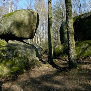 Wackelsteine im Naturpark Blockheide - (c) Niederösterreichwerbung, K. M. Westermann