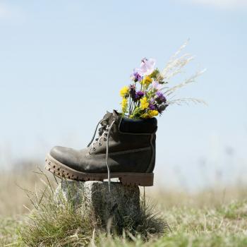 Wandern im Naturpark Leiserberge - (c) Weinviertel Toursimus, Himml