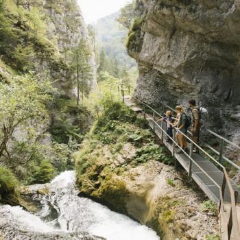 Familienwanderungen im Naturpark Ötscher - (c) Niederösterreichwerbung, Andreas Jakwerth