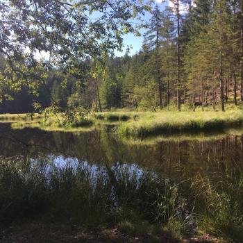 Osttirol - Lienzer Talboden Rundweg (c) - Osttirol Werbung Haselsteiner