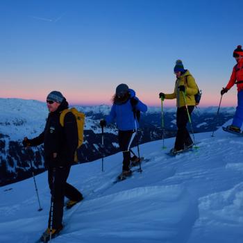 Nationalpark Hohe Tauern: Wie Naturschutz und Tourismus voneinander profitieren können - (c) TVB Osttirol, Robert Maybach