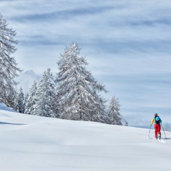 Osttiroler Alpen: Kraft- & Ruheplatz statt Rummelplatz - (c) Osttirol Werbung Willi Seebacher