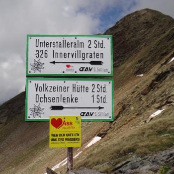 Wander in Osttirol mit einem Ass im Villgratental - Vom Villgratental aus kann man diese auch am Karnischen Kamm bewundern - (c) Jörg Bornmann