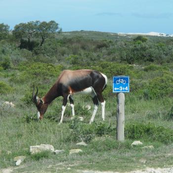 Südafrika - Wanderparadies mit über 1.000 Routen - (c) Jörg Bornmann