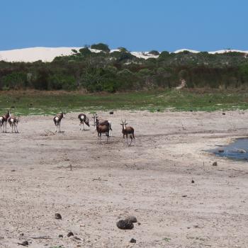 Südafrika - Wanderparadies mit über 1.000 Routen - (c) Jörg Bornmann