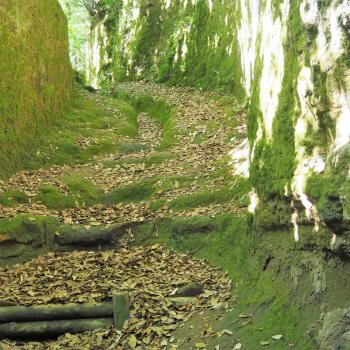 Wandern auf den Spuren der Etrusker - Von Höhlenwohnungen und einzigartigen Grabstätten - (c) Jörg Bornmann