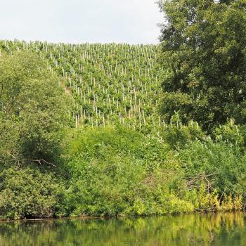 Kanu SaarFari im Wiltinger Saarbogen - Perspektivwechsel auf dem Wasser - (c) Jörg Bornmann