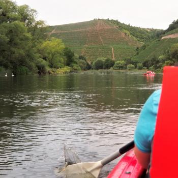 Kanu SaarFari im Wiltinger Saarbogen - Perspektivwechsel auf dem Wasser - (c) Jörg Bornmann