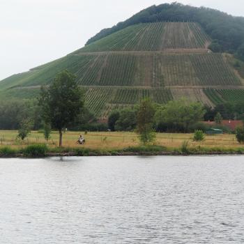 Kanu SaarFari im Wiltinger Saarbogen - Perspektivwechsel auf dem Wasser - (c) Jörg Bornmann