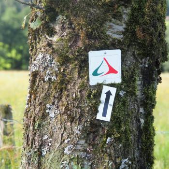 In Michelbach verlassen wir die eigentliche Wanderroute und machen uns auf die restlichen Kilometer Richtung Schotten - Wandern im Vogelsberg – Die Gipfeltour Schotten - (c) Jörg Bornmann