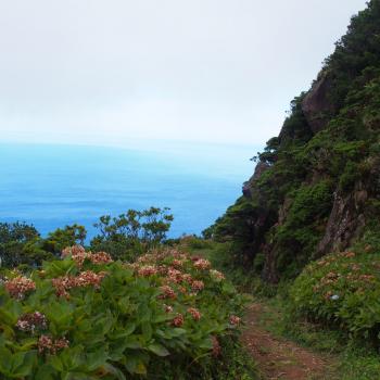 Wandern auf den Inseln am Ende des Atlantiks, den Azoren - <a href="https://www.wanderfreak.de/wandern-azoren-inseln-am-ende-des-atlantiks" target="_blank">weitere Infos</a> - (c) Jörg Bornmann