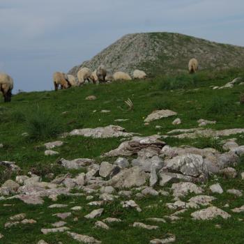 Parco dei Nebrodi - die großartige Fläche des Parks bietet Wanderungen in allen Schwierigkeitsgraden - (c) Nicoletta De Rossi