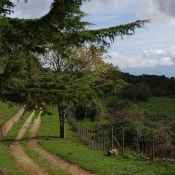 Parco dei Nebrodi - „Unser Klima ist immer angenehm,“ sagt unser Wanderführer Gherson  - (c) Nicoletta De Rossi