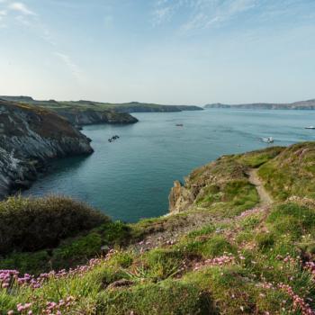 Der Pembrokeshire-Coast-National-Park - (c) saveonenergy.com