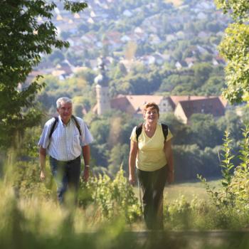 Weinwandern im Lieblichen Taubertal, eine wunderbare Region um zu Fuß vieles über Weinbau und -geschichte zu erfahren - (c) Tourismusverband Liebliches Taubertal / Tom Weller