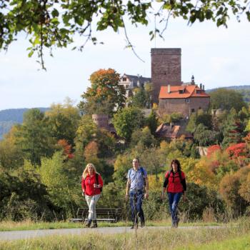 Weinwandern im Lieblichen Taubertal, eine wunderbare Region um zu Fuß vieles über Weinbau und -geschichte zu erfahren - (c) Tourismusverband Liebliches Taubertal / Tom Weller