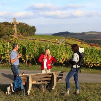 Weinwandern im Lieblichen Taubertal, eine wunderbare Region um zu Fuß vieles über Weinbau und -geschichte zu erfahren - (c) Tourismusverband Liebliches Taubertal / Tom Weller