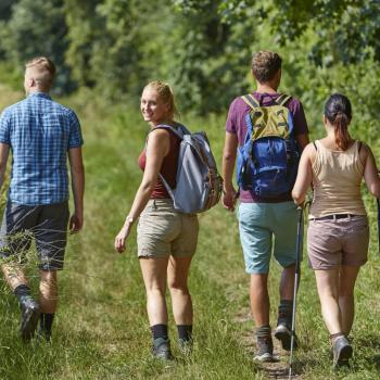 Wandervergnügen im „Liebliches Taubertal“ - Tagestouren und Streckenwanderwege erleben - (c) Tourismusverband „Liebliches Taubertal“/Peter Frischmuth