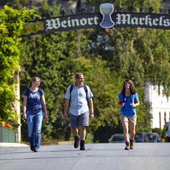 Weinwandern im Lieblichen Taubertal, eine wunderbare Region um zu Fuß vieles über Weinbau und -geschichte zu erfahren - (c) Tourismusverband Liebliches Taubertal / Tom Weller