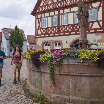 Weinwandern im Lieblichen Taubertal, eine wunderbare Region um zu Fuß vieles über Weinbau und -geschichte zu erfahren - (c) Tourismusverband Liebliches Taubertal / Tom Weller