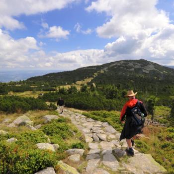 Urlaub der bewegt - Wikinger setzt auf Nachhaltigkeit - (c) Wikinger Reisen