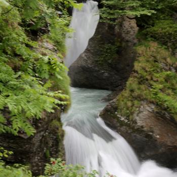 Aber auch die Details des Reichenbachfalls sind bewundernswert 