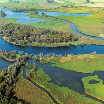 Renaturierte Untere Havel zeigt wie Widerstandskraft gegen Klimafolgen gestärkt werden kann - (c) NABU/Klemens Karkow