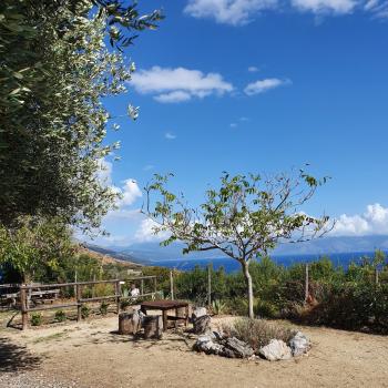 Vom Fischerstädtchen Marina di Camerota entlang des paradiesischen Küstenstreifens zur Baia degli Infreschi - (c) Susanne Wess