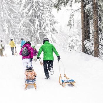 Wandervielfalt in Österreichs Wanderdörfern - Rodeln am Wilden Kaiser (c) TVB Wilder Kaiser