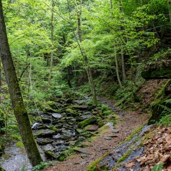 Slow Trail Römerschlucht am Wörthersee - (c) Martin Assam