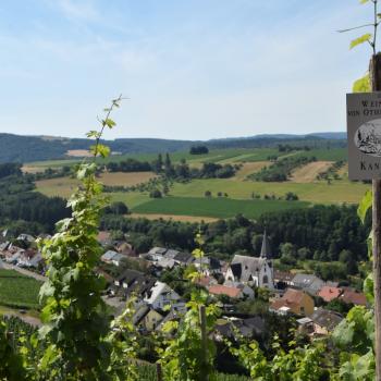 Weinwanderung durch den Ockfener Bockstein - (c) Jörg Bornmann