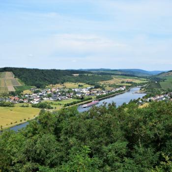 Weinwanderung durch den Ockfener Bockstein - (c) Jörg Bornmann