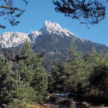 Allgäu Füssen Säuling