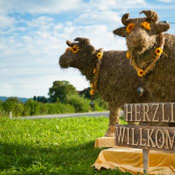 Wie schon seit vielen Jahren findet auch im Jahr 2018 im Salzburger Land der BAUERNHERBST statt - (c) Salzburger Seenland