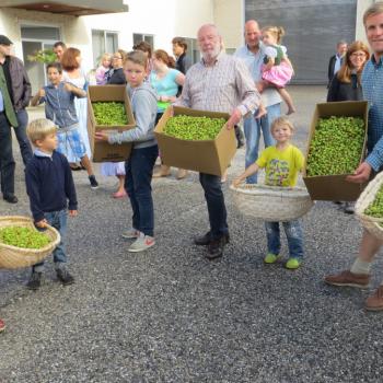 Trumer Hopfenerntefest am 8. September 2018 - (c) Salzburger Seenland