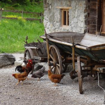 Schliersee Bauernhof Museum Markus Wasmeier