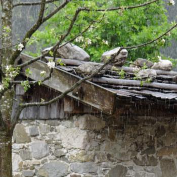 Schliersee Regenwetter im Markus Wasmeier Bauernhof Museum