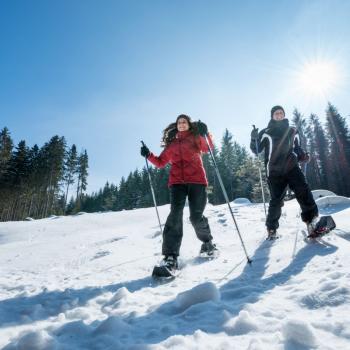 Wandervielfalt in Österreichs Wanderdörfern - Schneeschuwanderung im Waldviertel - (c) Waldviertel Tourismus (www.ishootpeople.at)