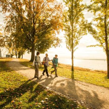 Vier Etappen sorgen auf über 50 Kilometern für Wanderspaß pur: Der Premiumwanderweg „SeeGang“ - (c) Ulrike Klumpp