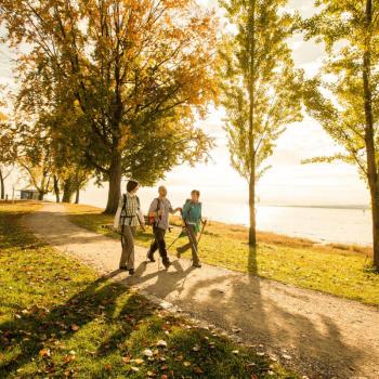 Der Premiumwanderweg „SeeGang“ begeistert mit individuell-gestaltbaren Routen, Top-Sehenswürdigkeiten sowie beeindruckenden Ausblicken über Bodensee und Alpen - (c) Ulrike Klumpp