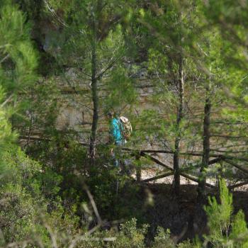 Impressionen des Wanderwegs Sentiero Natura im Gargano/Apulien - (c) Nicoletta De Rossi