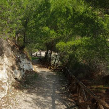 Impressionen des Wanderwegs Sentiero Natura im Gargano/Apulien - (c) Nicoletta De Rossi