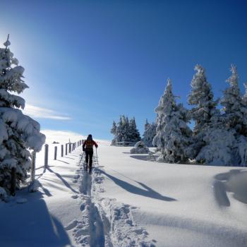 Skitouren Paradies Fischbacher Alpen in der HOCHsteiermark - Andreas Steininger