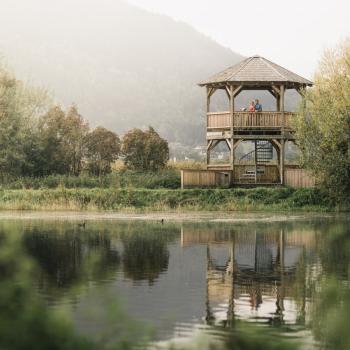 Slow Trai Bleistätter Moor in der Region Villach - (c) Stefan Leitner