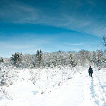 Snowshoing by Mark Bonica